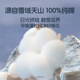 她研社新疆棉系列卫生巾|透气新疆棉，亲肤低敏，舒爽不闷热