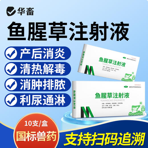 【积分兑换】华畜鱼腥草注射液 产后康清热解毒消脓排肿 商品图0