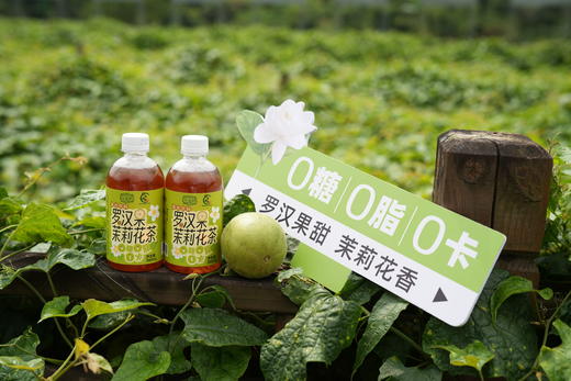 壮乡桂品 罗汉果茉莉花茶 360ML*12 商品图3