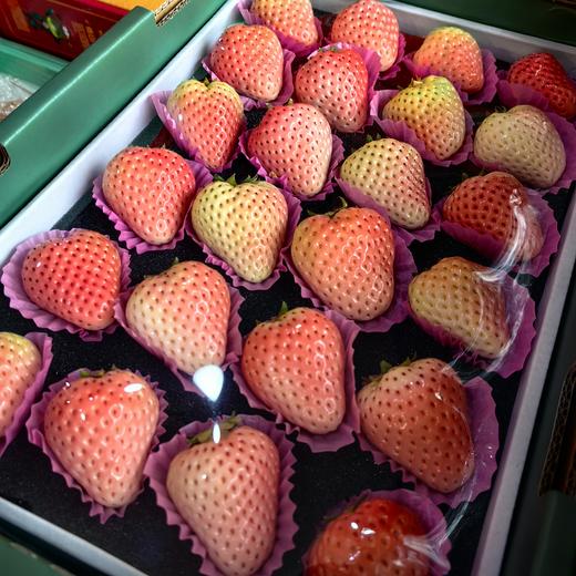 精品一级粉玉白草莓顺丰包邮【仅发京津冀】*1kg 商品图3