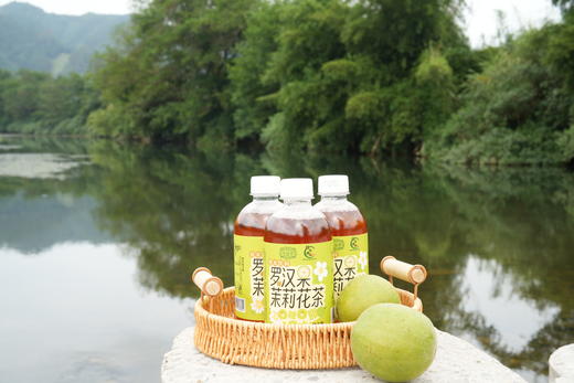 壮乡桂品 罗汉果茉莉花茶 360ML*12 商品图0