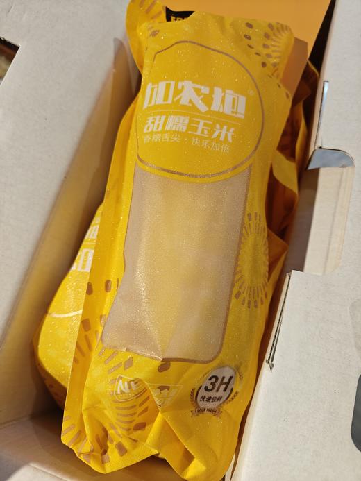 加农炮甜糯玉米 12只新鲜黄糯玉米 真空包装 即食代餐 东北田里糯玉米 商品图6