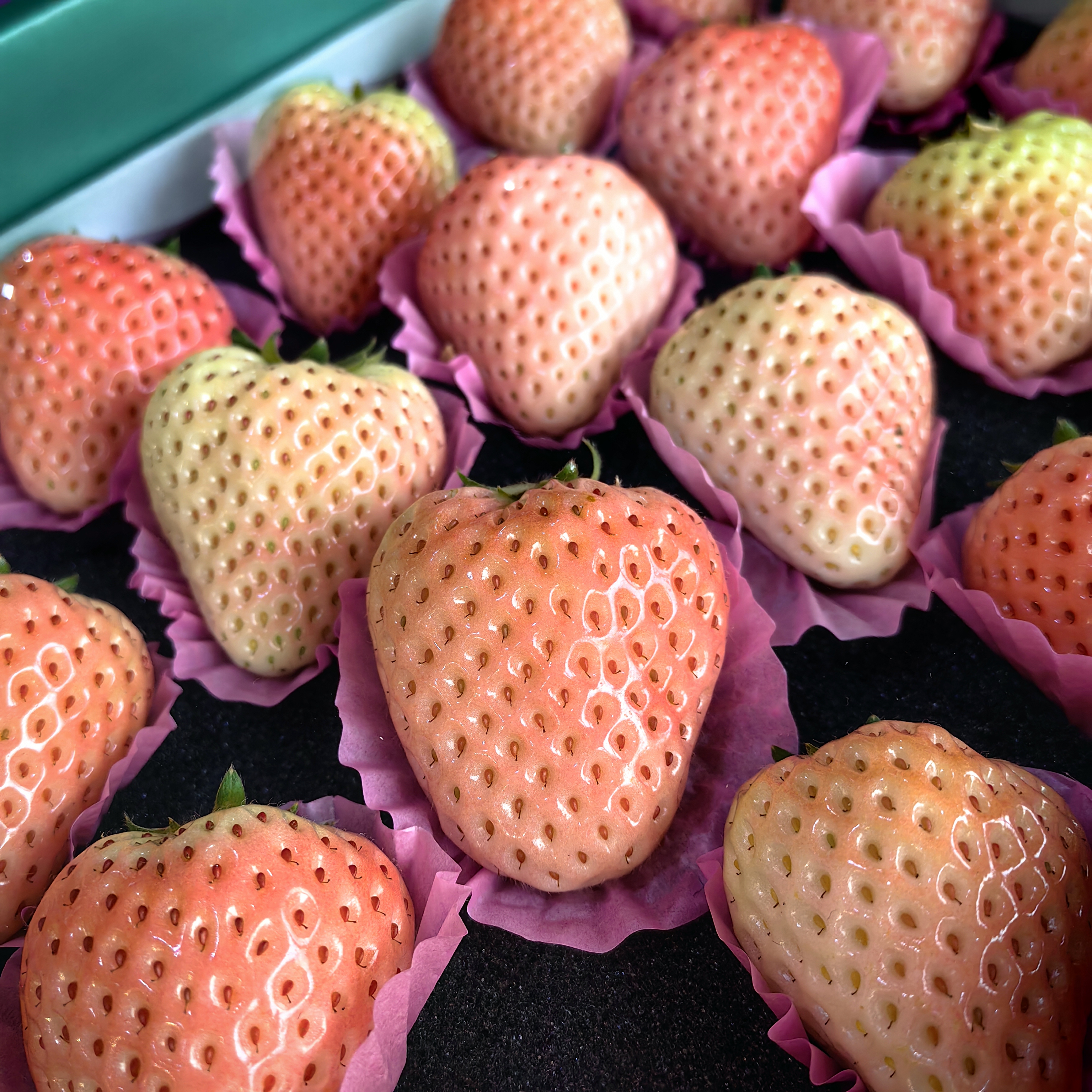 精品一级粉玉白草莓顺丰包邮【仅发京津冀】*1kg