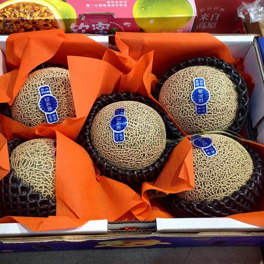 品牌牛三网纹瓜蜜放软吃更甜顺丰包邮 商品图3