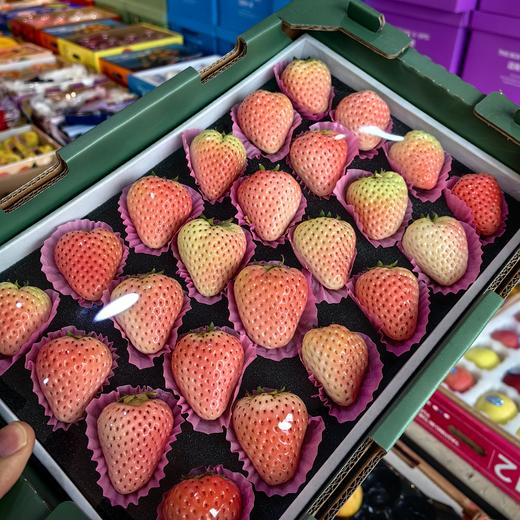 精品一级粉玉白草莓顺丰包邮【仅发京津冀】*1kg 商品图4