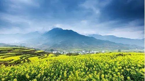 皖南油菜花季丨 三清山（入住“山上最好酒店”女神宾馆）、“云上油菜花”石潭、查平坦、江岭、庆源6天摄影团 商品图11