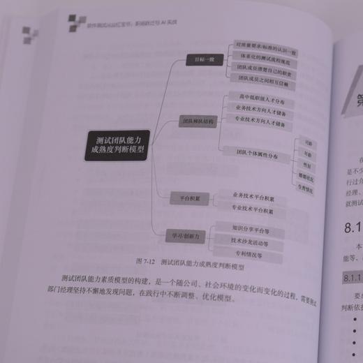 软件测试从业红宝书 职场跃迁与AI实战 软件测试教程书籍自动化测试人工智能 商品图3