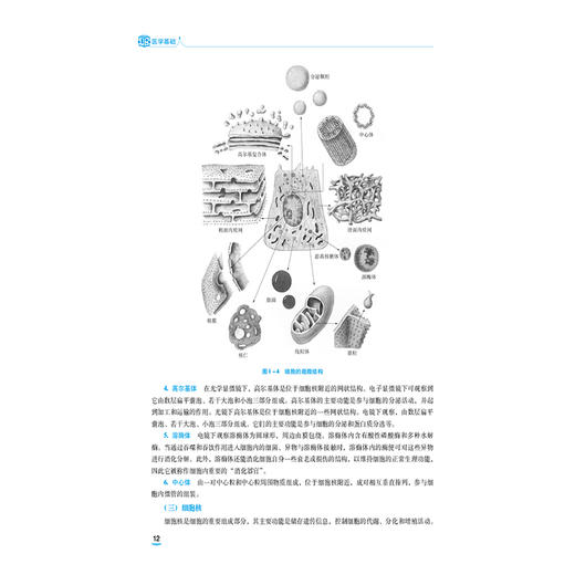 医学基础 第4版 李桂兰 主编 中等职业教育药学类专业第四轮教材 十五五规划教材 供医药卫生类及相关专业用 中国医药科技出版社 商品图4