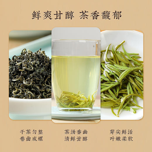 【佳韵小罐-碧螺春】去寻碧螺春绿茶口粮茶洞庭碧螺春自饮实惠装30g 商品图2