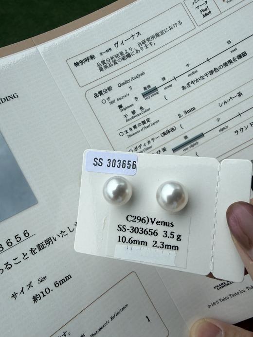 【挚友限定】【香港展会商品】精品团购 SS 真科研极光维纳斯 10-11 对珠  毕业级珠光 表皮细腻绸缎感 肉眼无瑕 （展会产品拍下后不支持7天无理由退换货） 商品图1