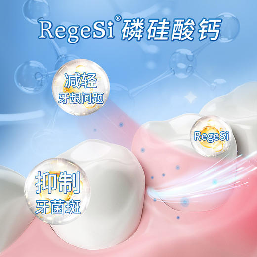 【呵护牙龈】锐杰斯 护龈固齿牙膏 60g*3支 强健牙齿 商品图1