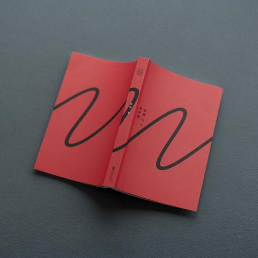 目睹飞人的时刻（作者巫昂签名版） 商品图9