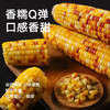 河北 彩糯玉米200g*8/箱 商品缩略图4