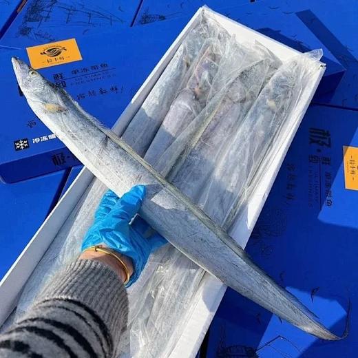 顺丰/京东包邮，经典小蓝箱海钓带鱼， 深海野生海钓 单冻无冰衣 鱼鳍鲜亮透彻 肉质丰腴肥基地直邮 商品图0