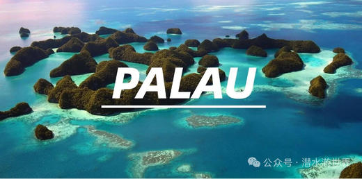 【限时优惠-帕劳潜水】上海潜水展帕劳潜水+酒店 商品图0