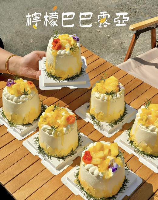 柠檬凤梨巴巴露亚（小花随机品种） 商品图0