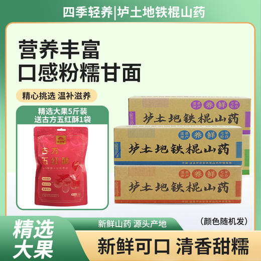 【产地直发】垆土地铁棍山药 （多规格可选） 商品图5