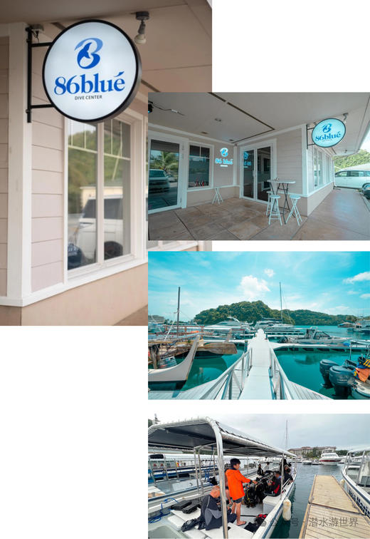 【限时优惠-帕劳潜水】上海潜水展帕劳潜水+酒店 商品图11