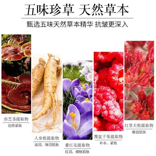 全新开样 美肤宝驻颜紧致弹力乳120ml提拉紧致抗皱淡化细纹补水保湿 商品图7