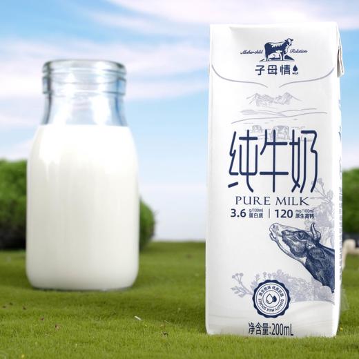 【兵兵有礼】子母情 新疆纯牛奶臻享版 200ml*12/提  2提装（全国包邮，部分地区除外） 商品图4