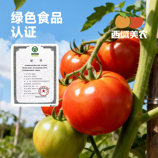 【绿色标准！】西域美农普罗旺斯绿色标准水果西红柿 酸甜应季新鲜 商品图2
