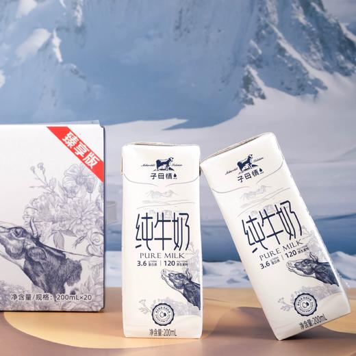 【兵兵有礼】子母情 新疆纯牛奶臻享版 200ml*12/提  2提装（全国包邮，部分地区除外） 商品图1