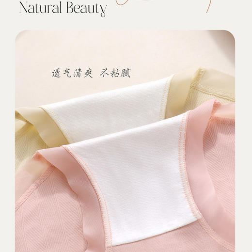 高弹高腰简约舒适收腹系列女内裤-纪念日百货门店同款169601346 商品图2