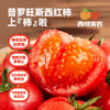 【顺丰】西域美农泾阳普罗旺斯西红柿水果西红柿 商品缩略图0