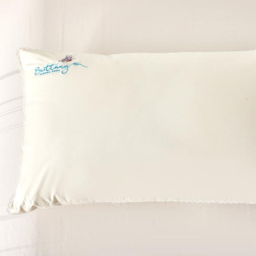 多喜爱  蝶悦蚕丝蛋白美眠枕 【80S全棉面料】【精美刺绣+花边】野生柞蚕丝 柔抚肌肤 深睡悦眠  柔弹支撑 商品图8