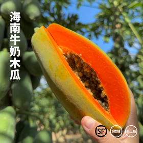 海南牛奶木瓜 自然成熟 香甜软糯 顺丰/京东随机