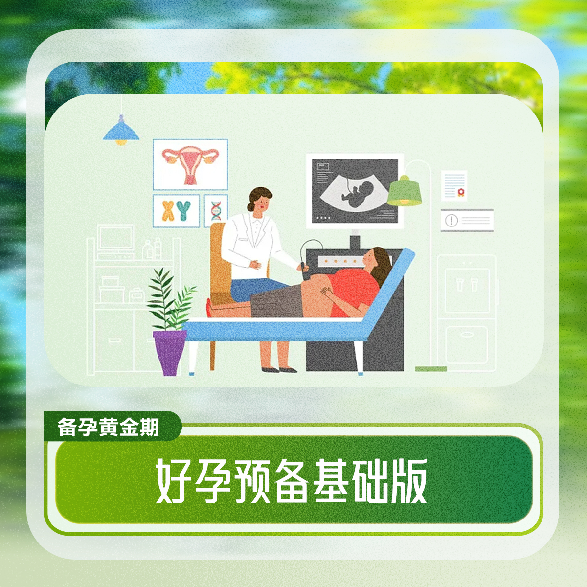 好孕预备基础版