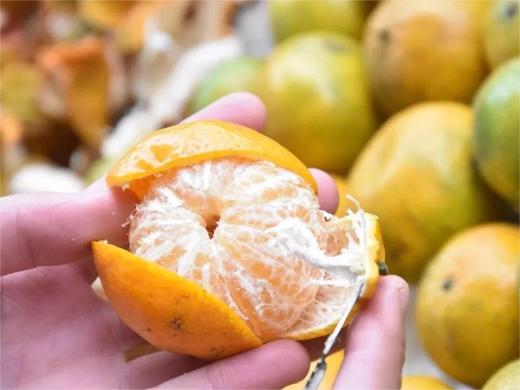 福利必抢！闽缘茶轩10年新会陈皮500g/罐  26Y03007- 商品图10