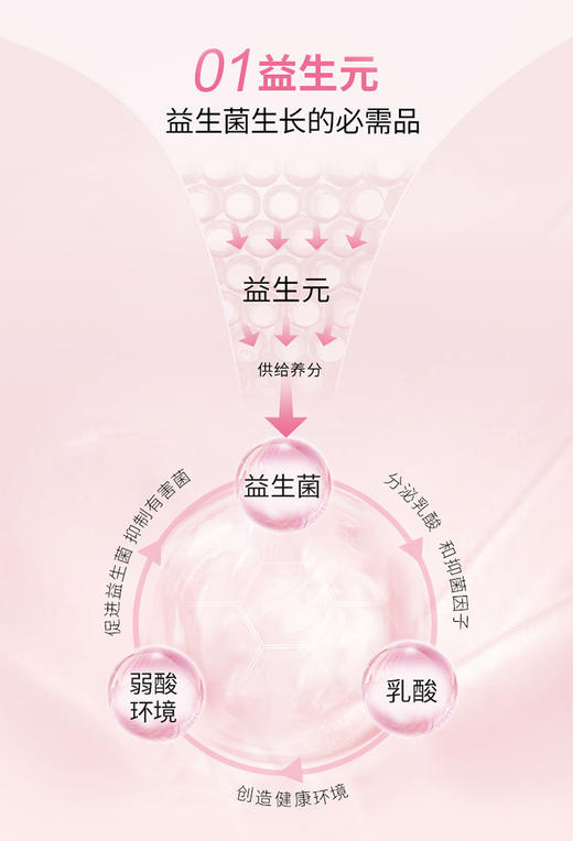 【新品 伊能静同款 促好菌生长】西班牙 珂蔓朵 益生元女性护理慕斯150ml 商品图6