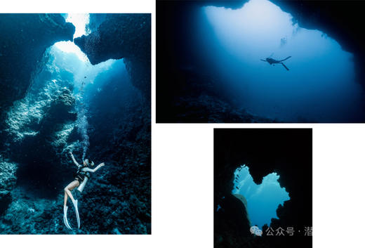 【限时优惠-帕劳潜水】上海潜水展帕劳潜水+酒店 商品图1
