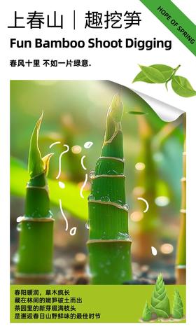 春假一日营4.2/4.5【蒲江：上春山·趣挖笋】春假到了，来挖第一波雷笋、采第一波春茶吧
