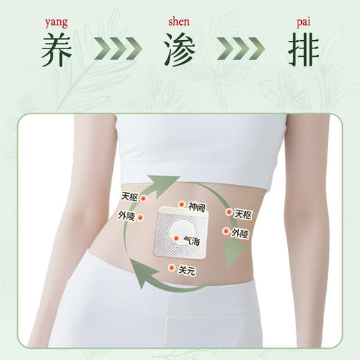 【超值组合装】瑶辰 无湿轻排排贴 10贴/盒 商品图4