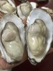 周五取货：【乳山大生蚝】一箱2斤左右，个大饱满，肉质肥美。 商品缩略图2