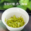 诗经贡 武当山茶绿茶 250g/袋 湖北十堰 商品缩略图2