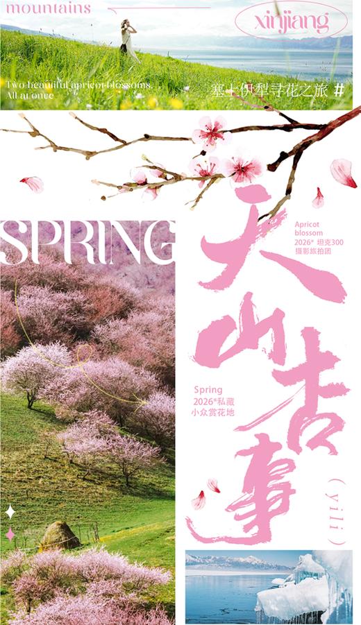 【新疆】天山杏事 北疆杏花 7天6晚 商品图0