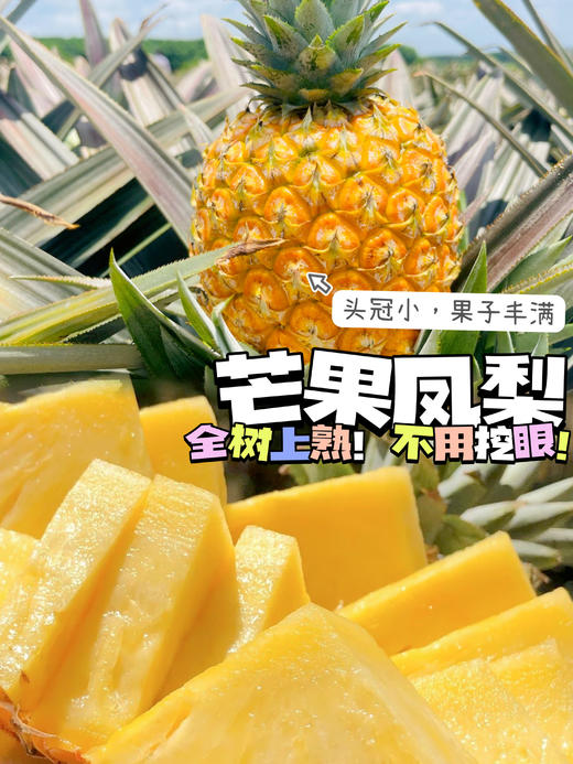 来自海南树上熟芒果凤梨 肉质细腻丝滑 自带芒果香 商品图0