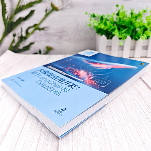 大模型应用开发 : 基于LangChain和DeepSeek 商品图3