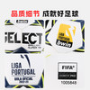 小李子SELECTBRILLANT22-23赛季葡超热粘合5号比赛用球成人PCV22 商品缩略图4