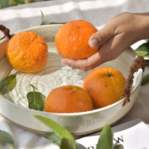 云端美沃沃柑#清甜橘香，甘甜爽口，饱满多汁，甜到心窝，高海拔山地，沙土种植 商品图2