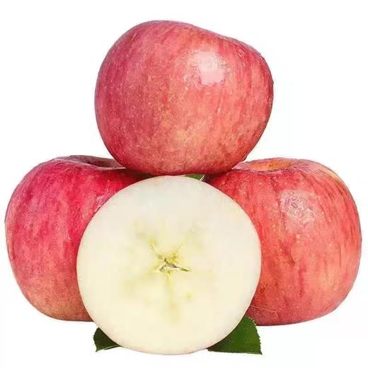 【果香浓郁】山东红富士 净重4.5斤 脆甜多汁坏果包赔（早餐好物） 商品图4