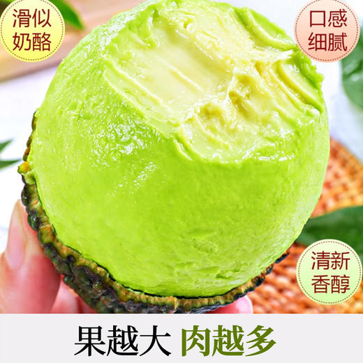 【产地直销】云南牛油果 2-6个装-GP 商品图3