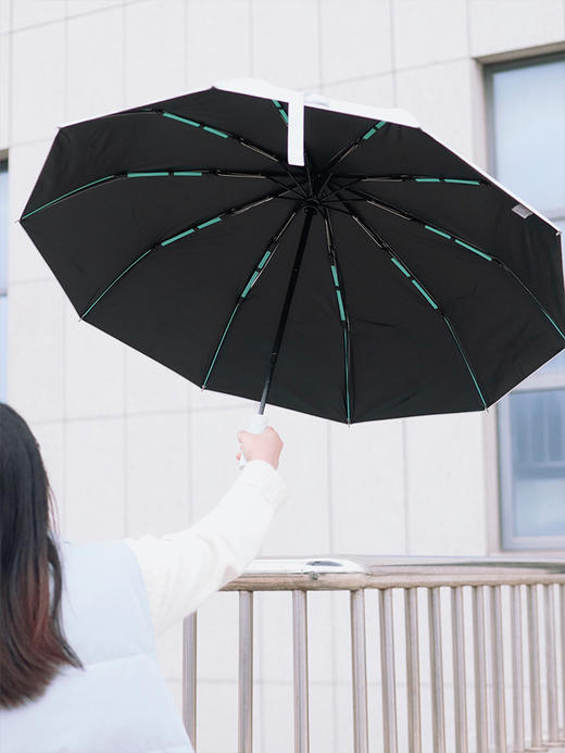 【雨季出行的底气  抗风抗雨坚固耐用】mamoru葵晴雨两用伞  全自动一键开合  黑胶防晒   加粗伞骨升级加倍抗风 商品图4