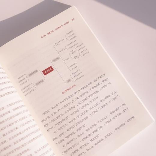 向新向生 北大附中石景山学校十年变革发展之路 崔岩著未来教育改革办学突围智慧校园创新拔尖人才培养教育信息化教育转型 商品图4