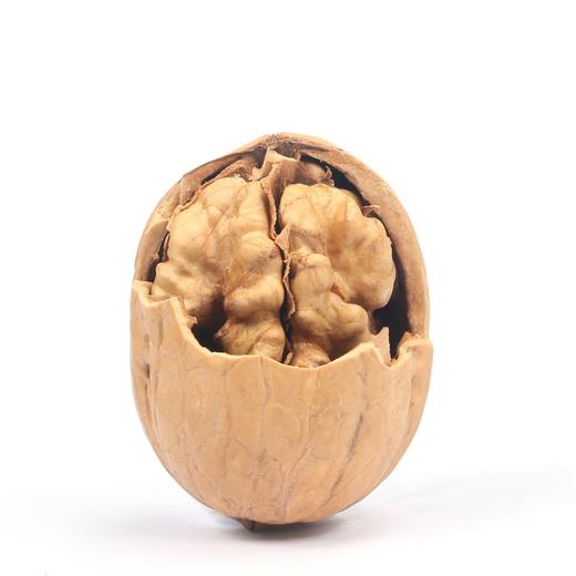 西域美农 新疆薄皮核桃500g 商品图4