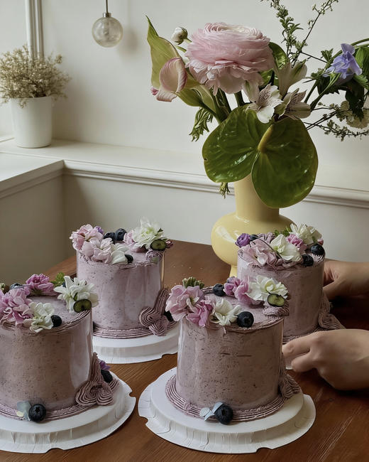 蓝莓精灵 商品图1