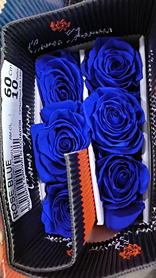 厄瓜多尔染色玫瑰rose blue蓝色妖姬10支 商品图1